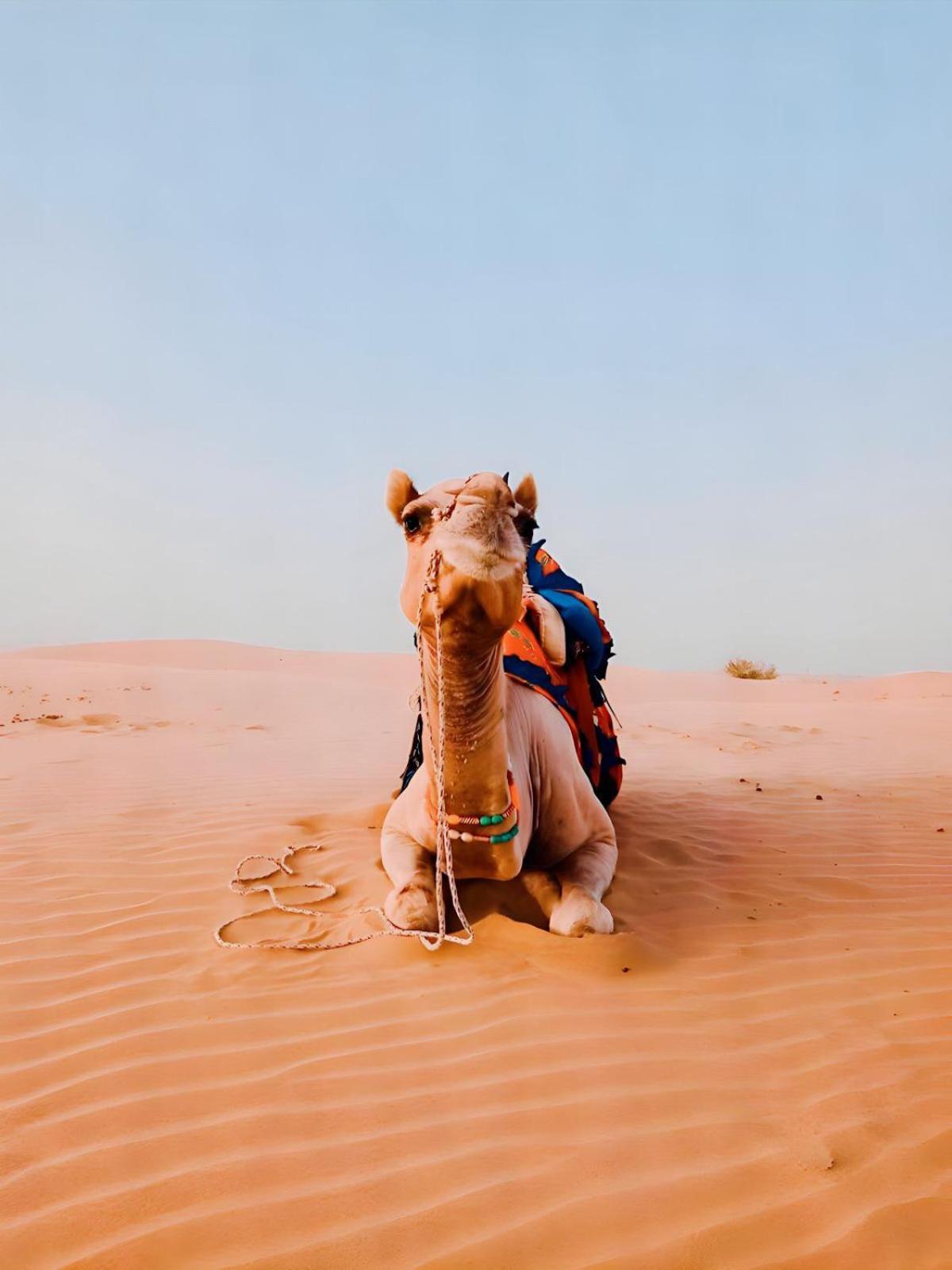 Jaisalmer Sand Dunes Luxury Camp And Resort Exteriér fotografie